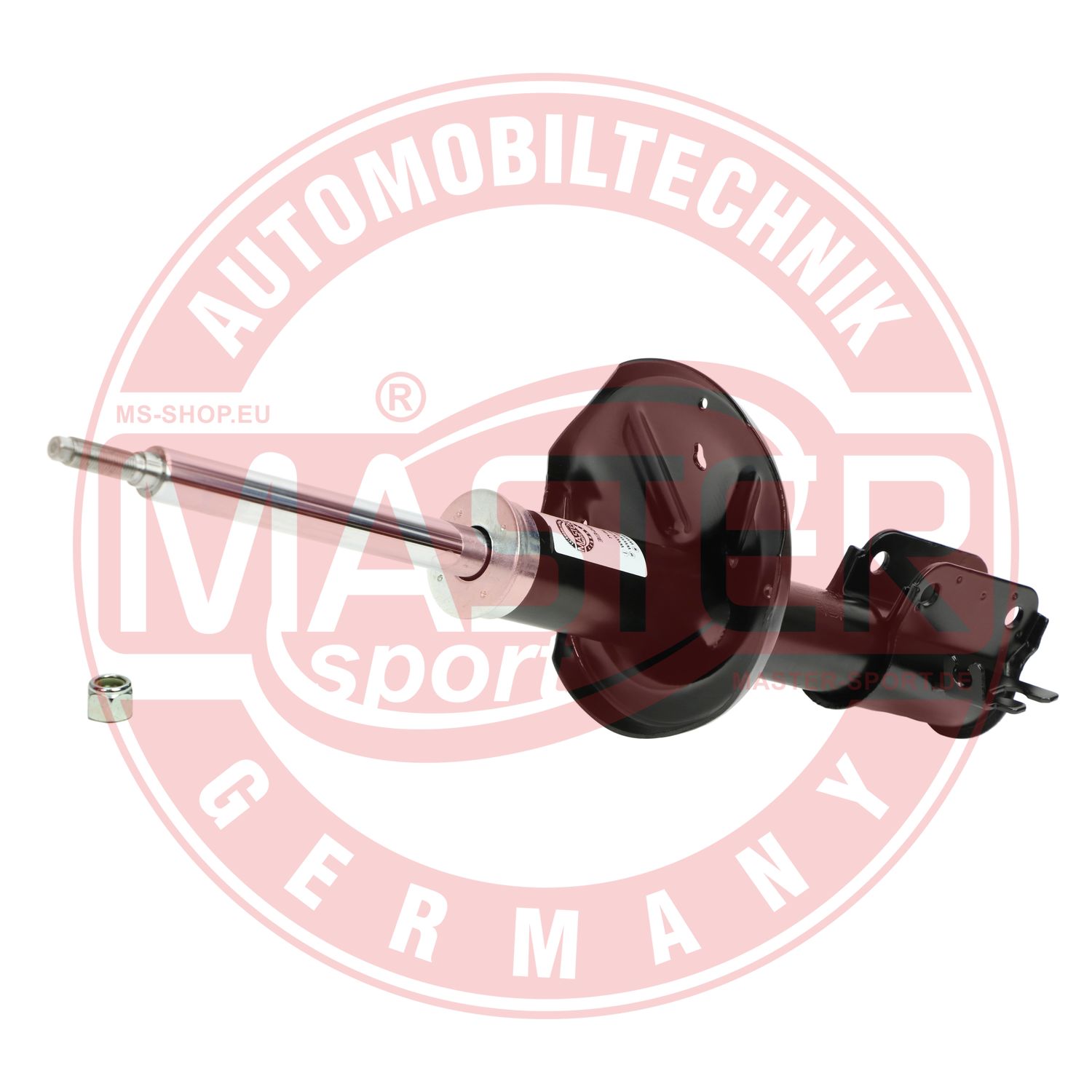 313466-O-PCS-MS