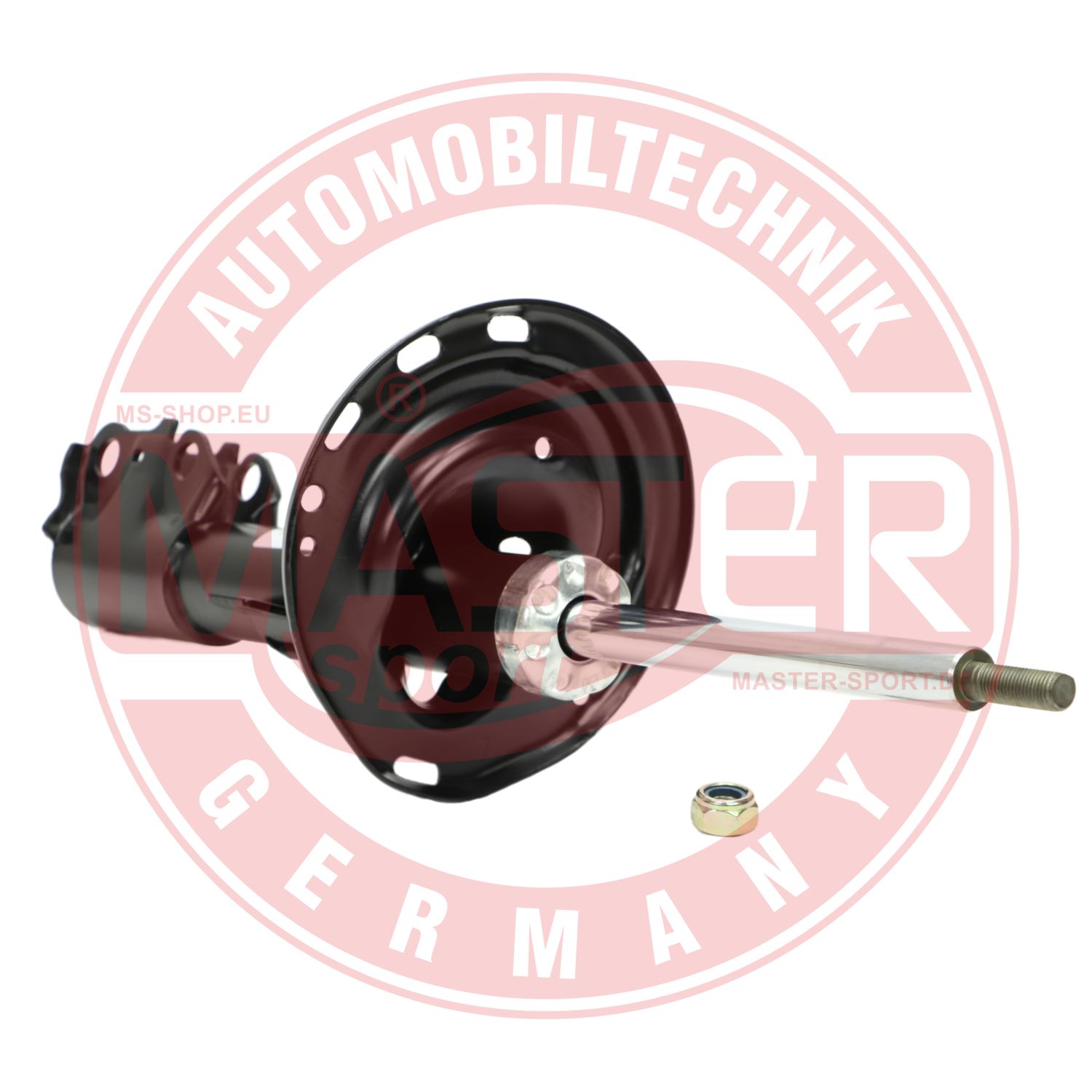 317116-PCS-MS
