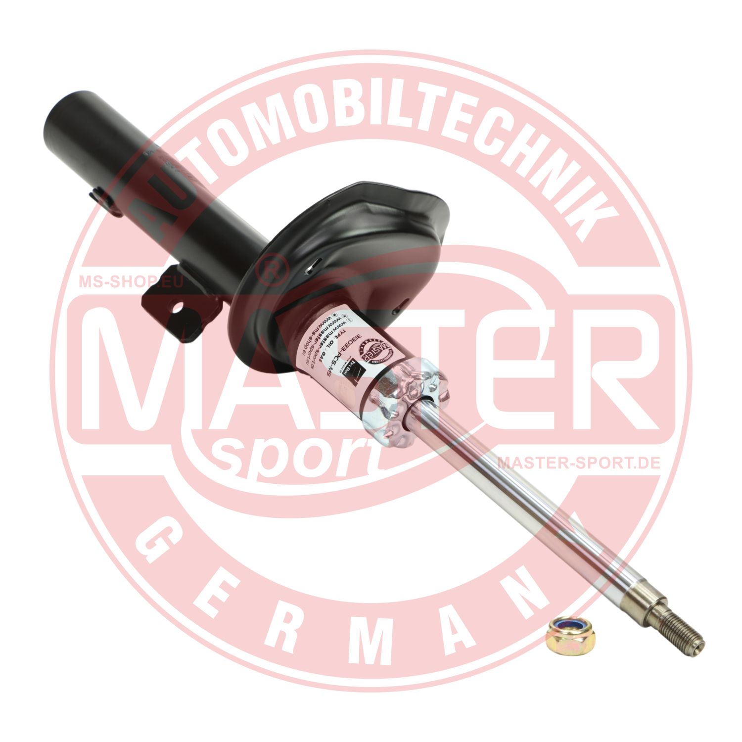 313033-PCS-MS