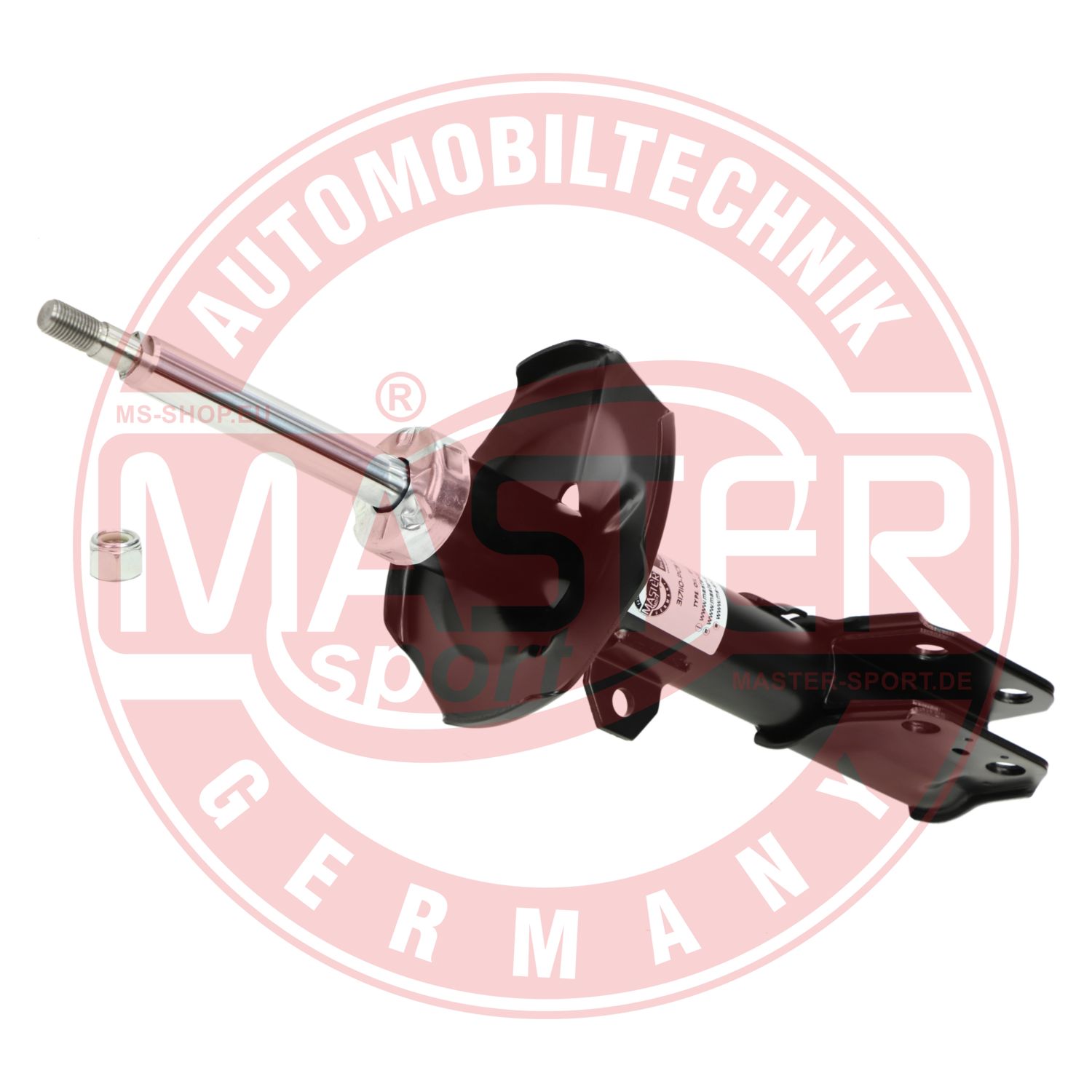 317110-PCS-MS