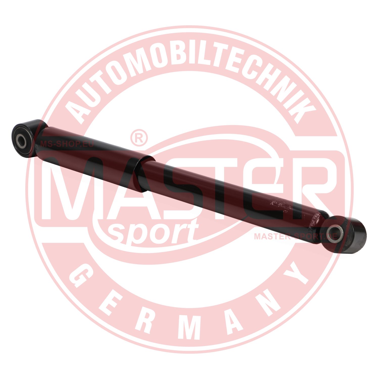 313970-PCS-MS