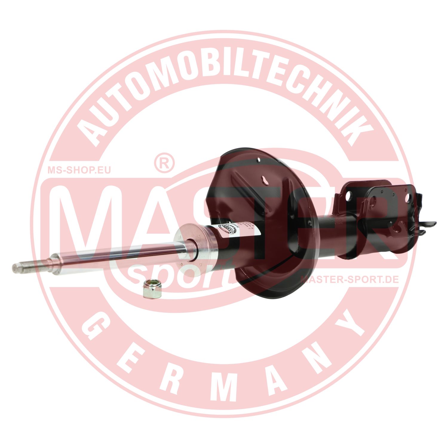 313466-PCS-MS