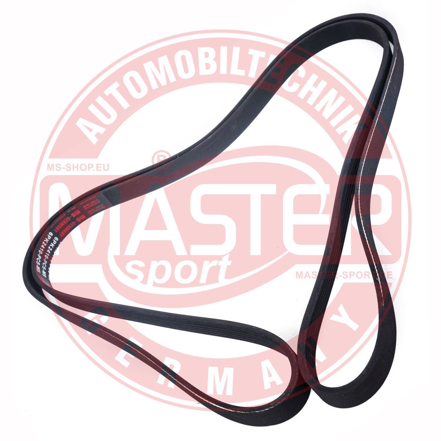 6PK2410-PCS-MS
