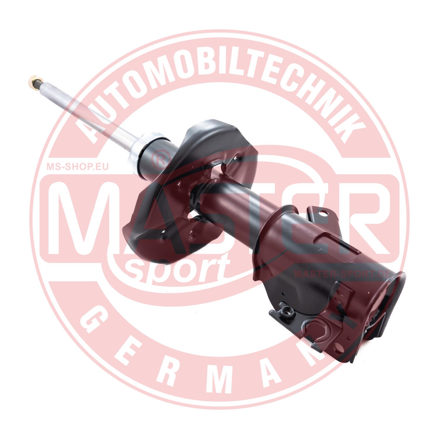 313401-PCS-MS
