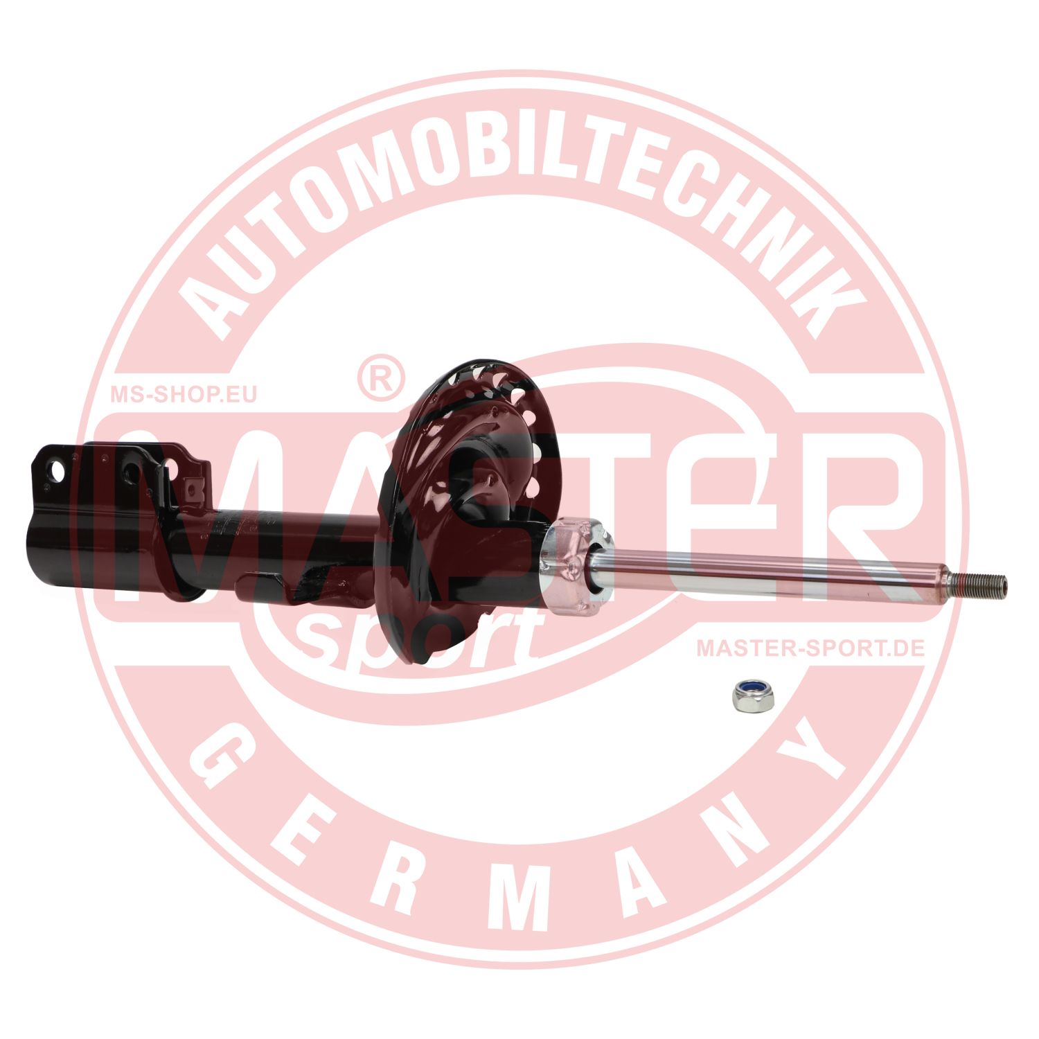 317423-PCS-MS