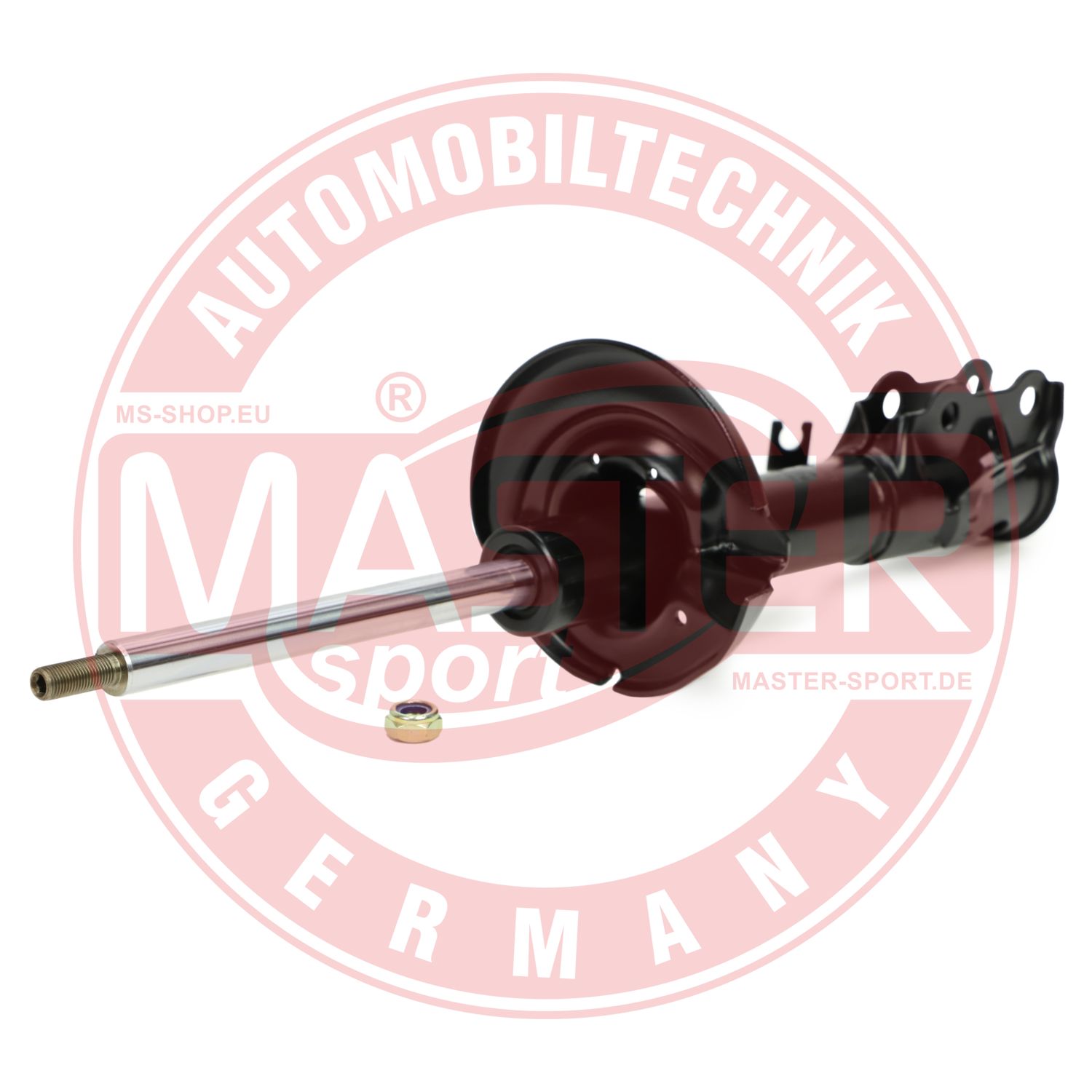 315241-PCS-MS
