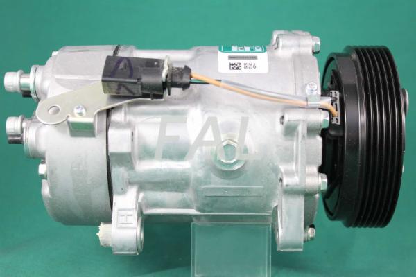 VW1J0820811N