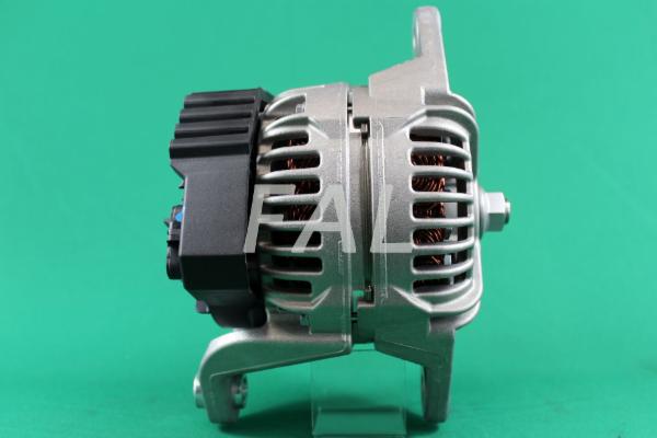 voe17204355