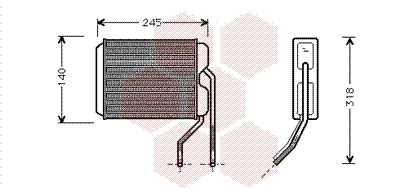 81006026