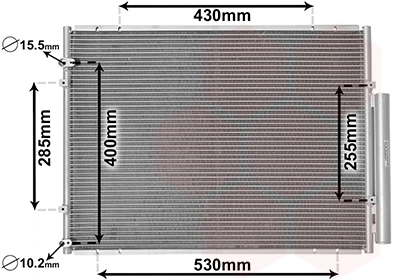 53005574