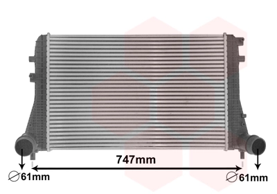 58004306