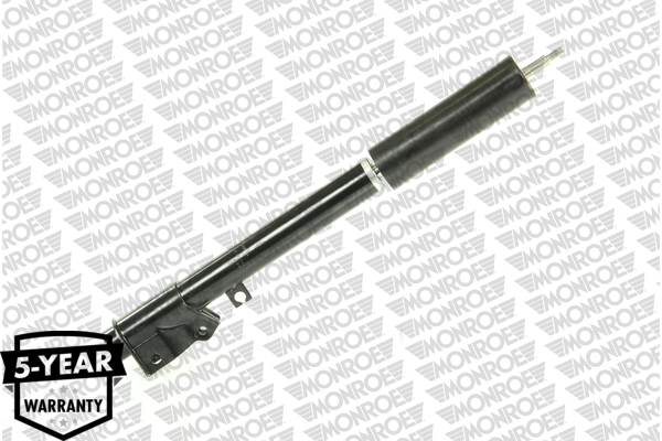 R11065