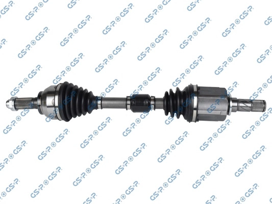 202523