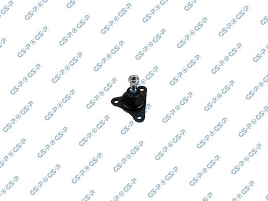 S080125