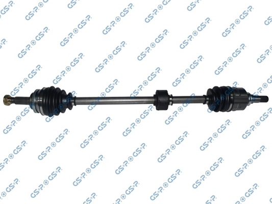 259073