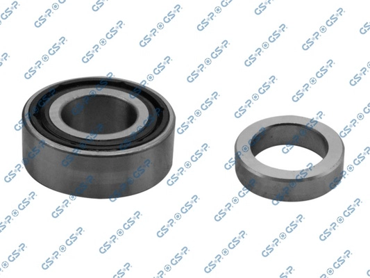 GKX0015