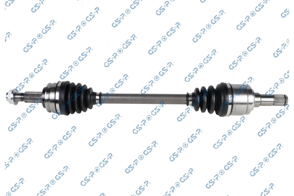 GDT1 25 60X