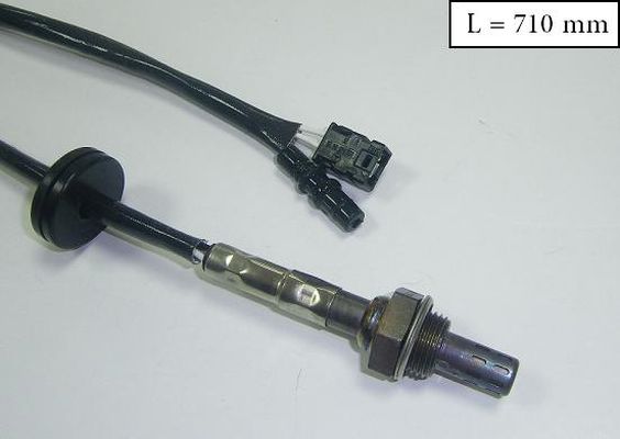 SLS-13296
