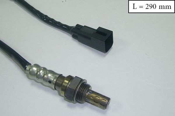 SLS-13216