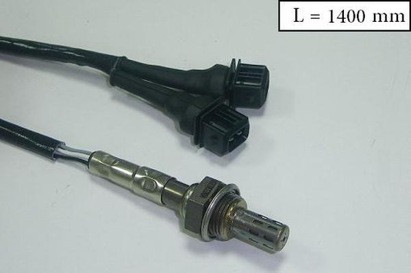 SLS-13305