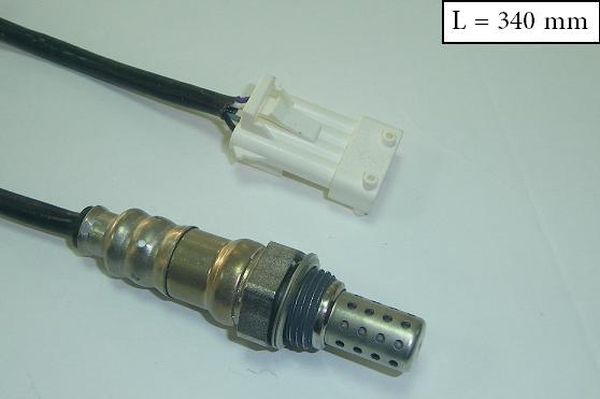 SLS-13174