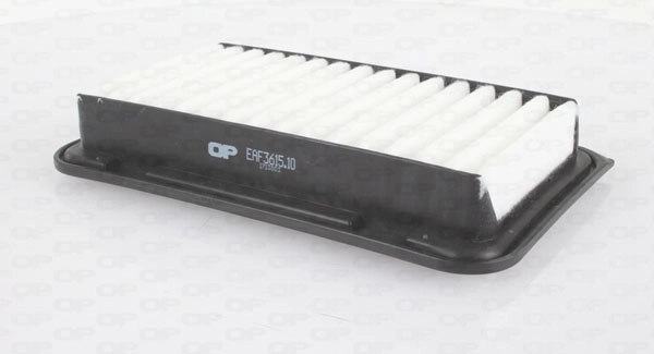 EAF3615.10