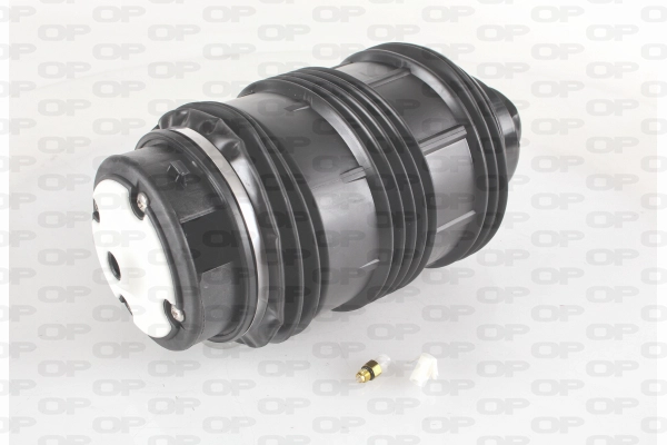 ASP4006.00