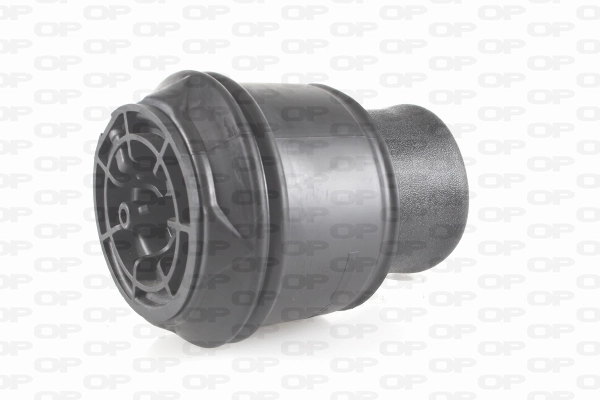 ASP4011.00