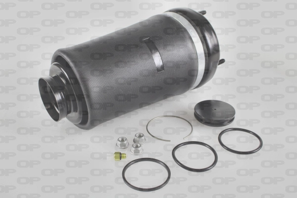 ASP4007.00