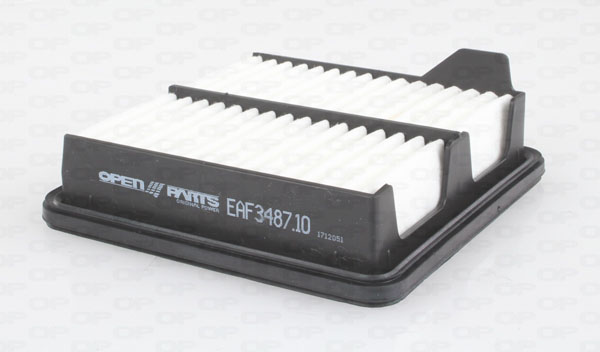 EAF3487.10
