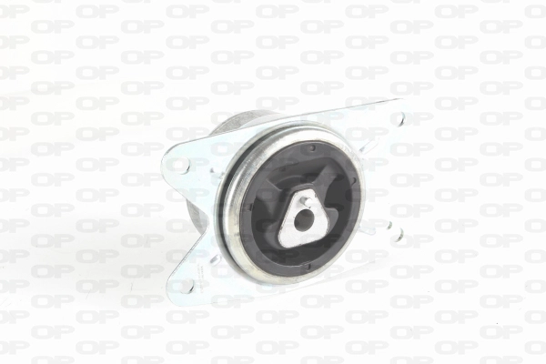 EMS4098.00