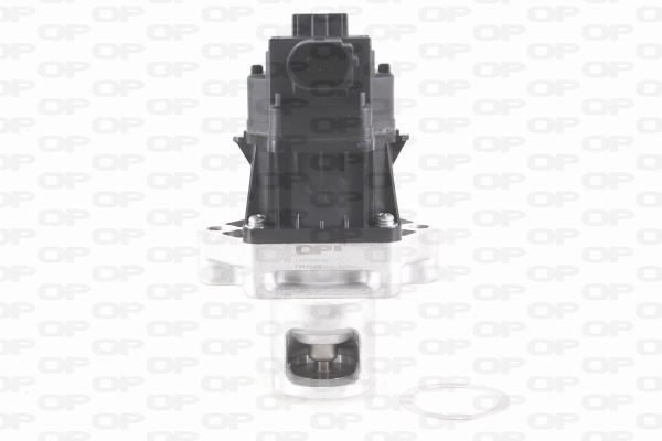 EGR3001.00
