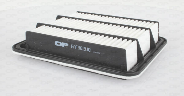 EAF3613.10