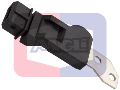 17261