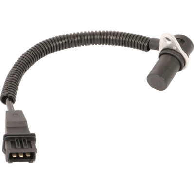1CS184