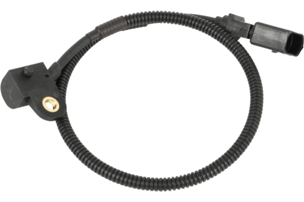 1CS557