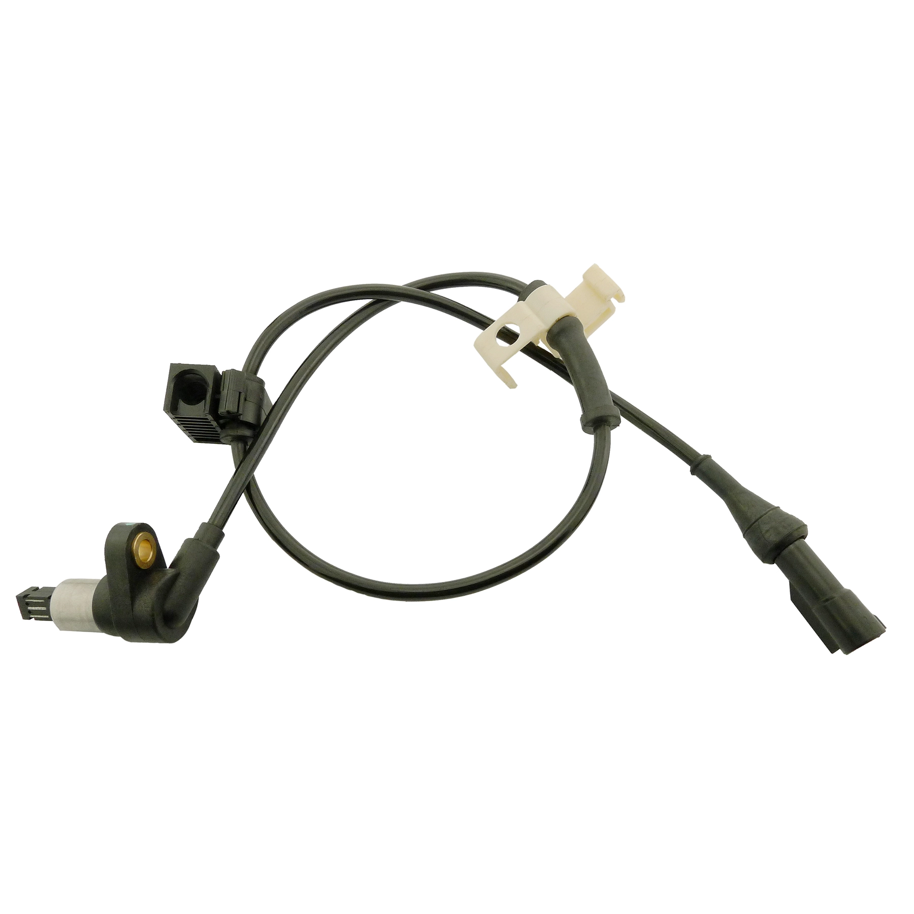 GS2204