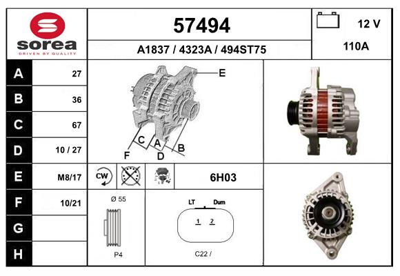 57494