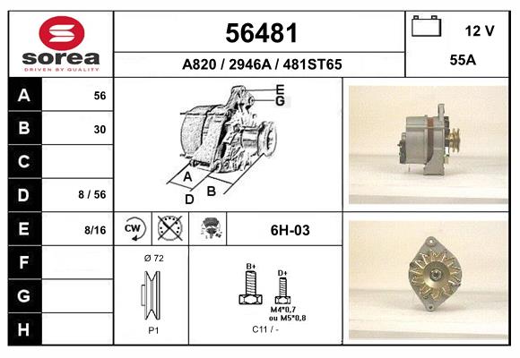 56481