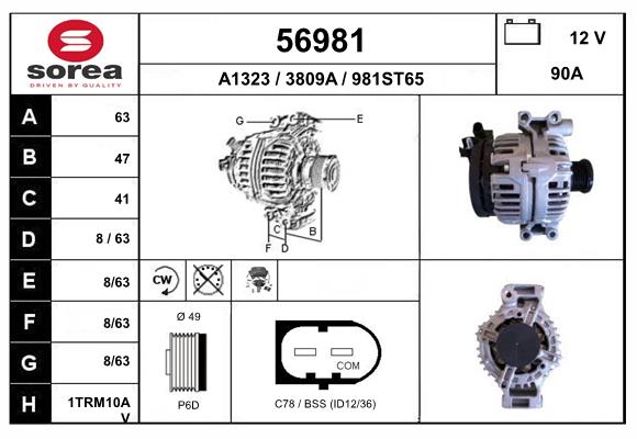 56981
