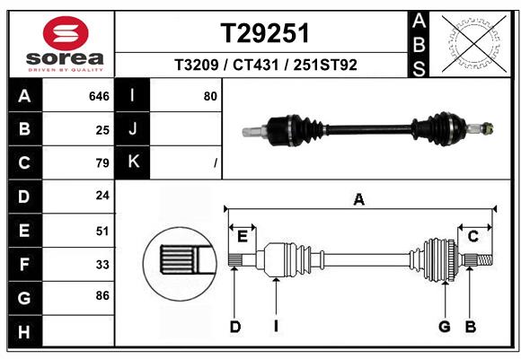 T29251