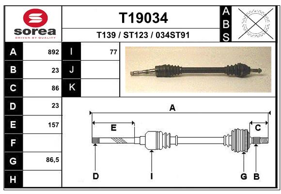 T19034