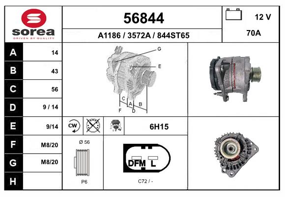 56844