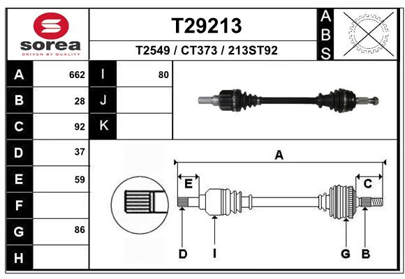 T29213
