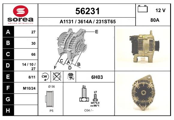 56231