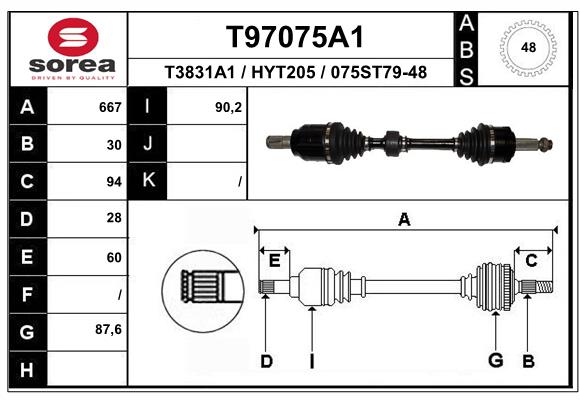 T97075A1