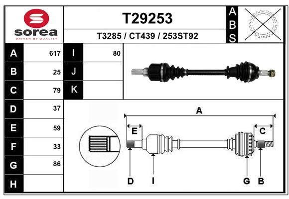 T29253