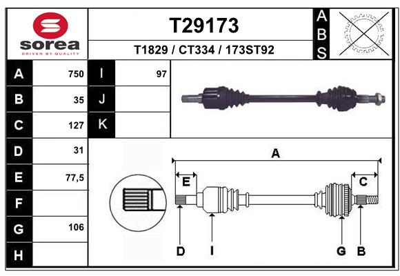 T29173