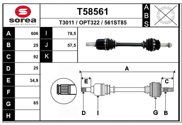 T58561