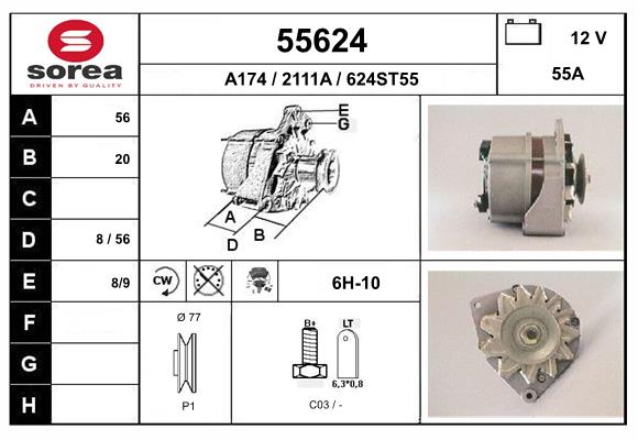55624